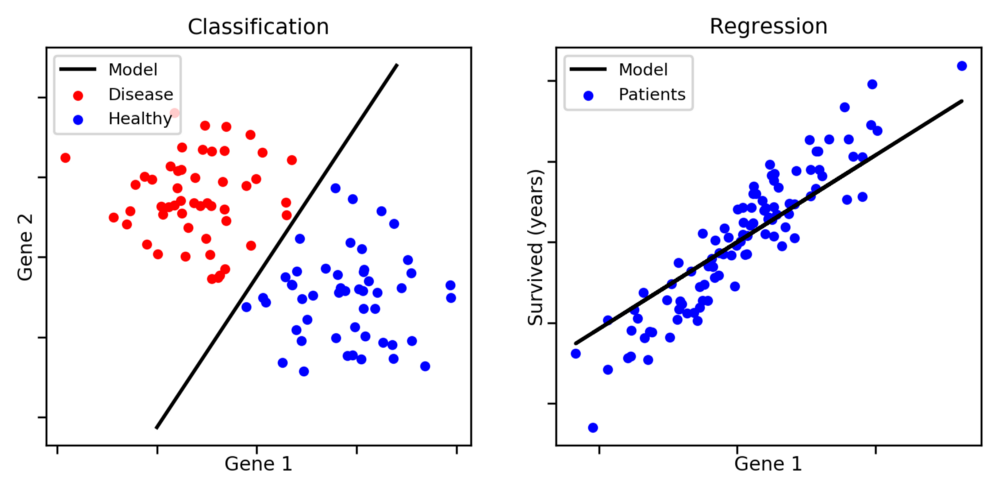 Screenshot showing the difference between classification and regression